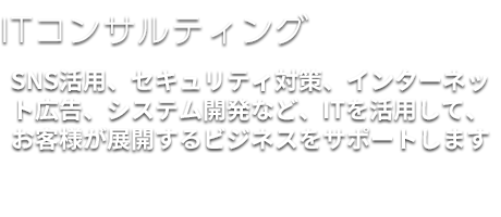 ITコンサルティング｜SNS活用、セキュリティ対策、インターネット広告、システム開発など、ITを活用してお客様ビジネス展開を強力バックアップします。